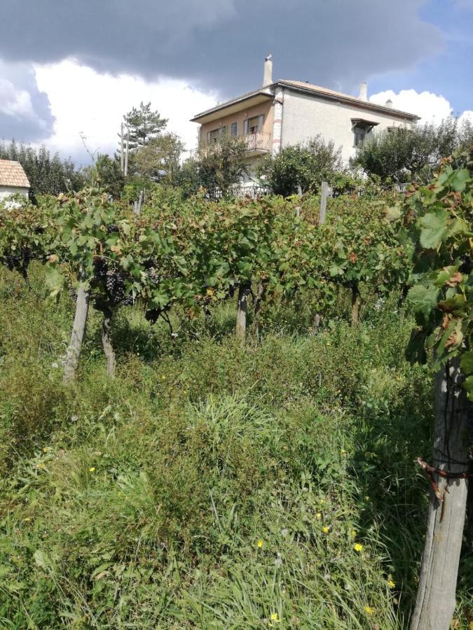 B&B Nel Verde Montesano sulla Marcellana Exterior foto