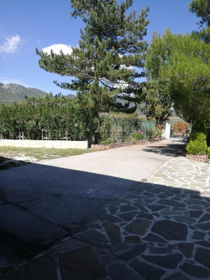B&B Nel Verde Montesano sulla Marcellana Exterior foto